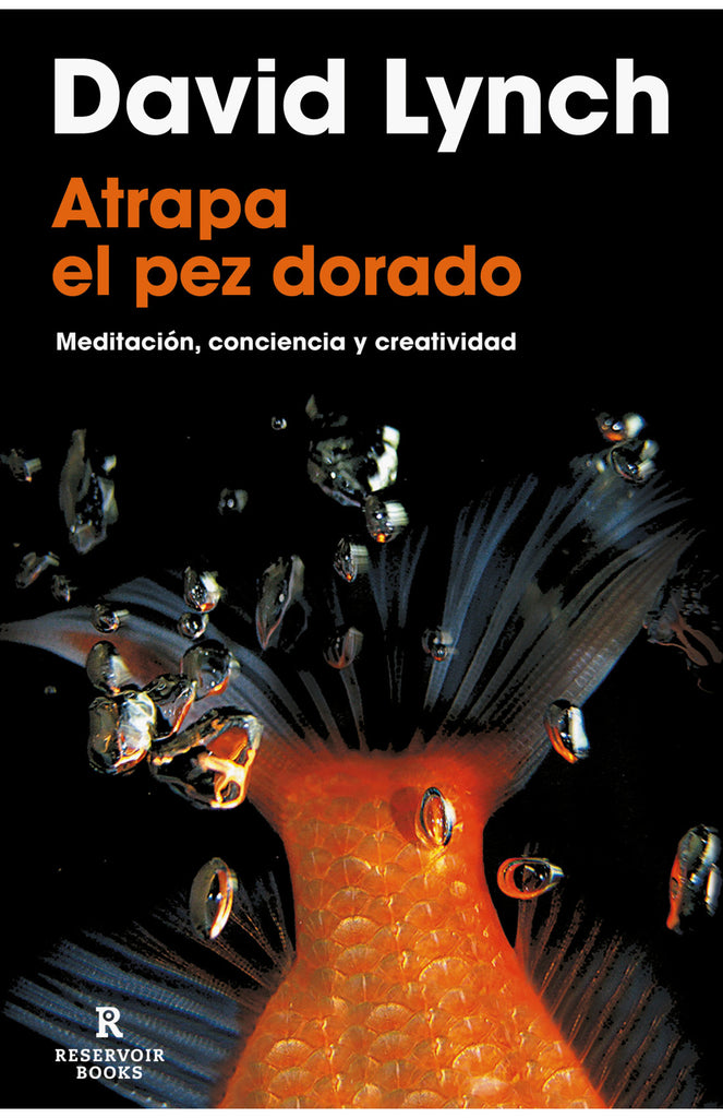Atrapa el pez dorado: Meditación, conciencia y creatividad - David Lynch - Reservoir Books